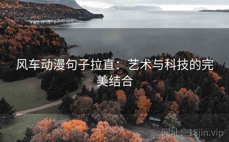 风车动漫句子拉直:艺术与科技的完美结合 风车动漫句子拉直:艺术与科技的完美结合